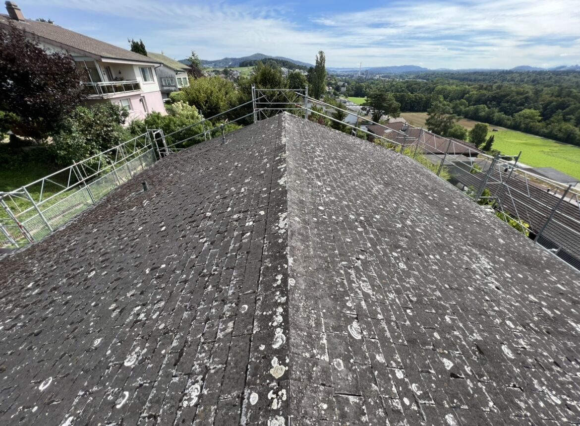 Dachgerüst – Projekt von Malik Gerüstbau
